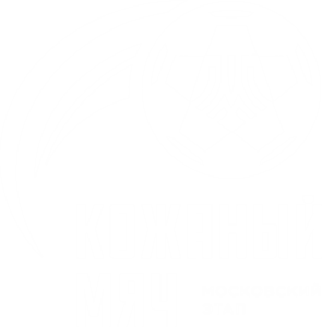 Кожаный Мяч — московский этап